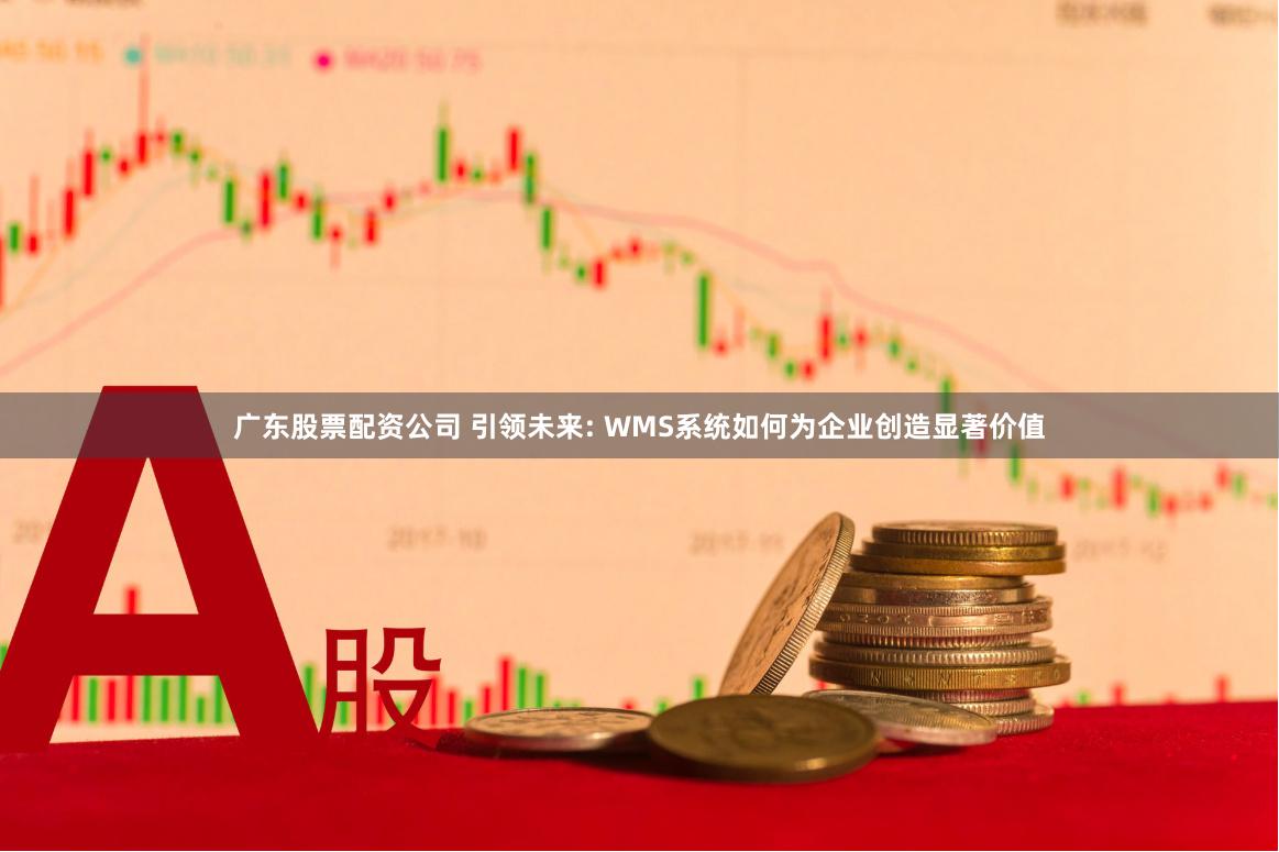 广东股票配资公司 引领未来: WMS系统如何为企业创造显著价