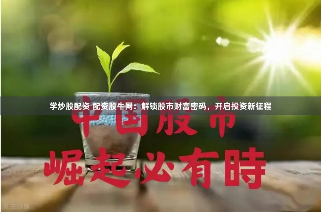 学炒股配资 配资股牛网：解锁股市财富密码，开启投资新征程