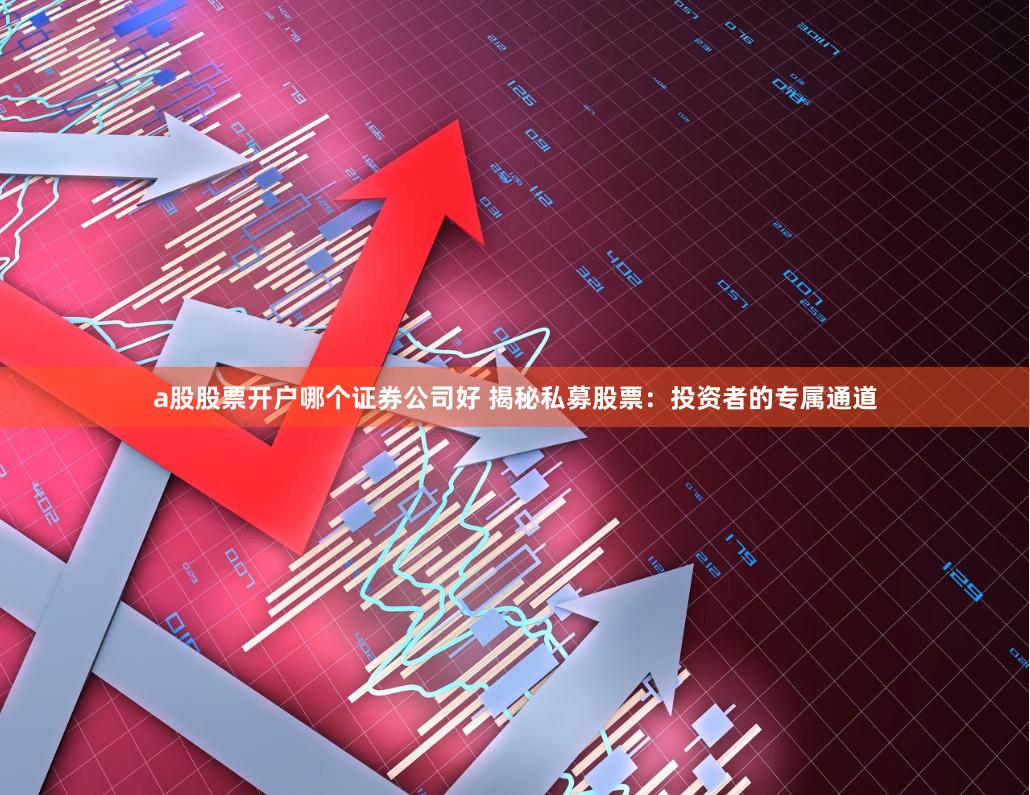 a股股票开户哪个证券公司好 揭秘私募股票：投资者的专属通道