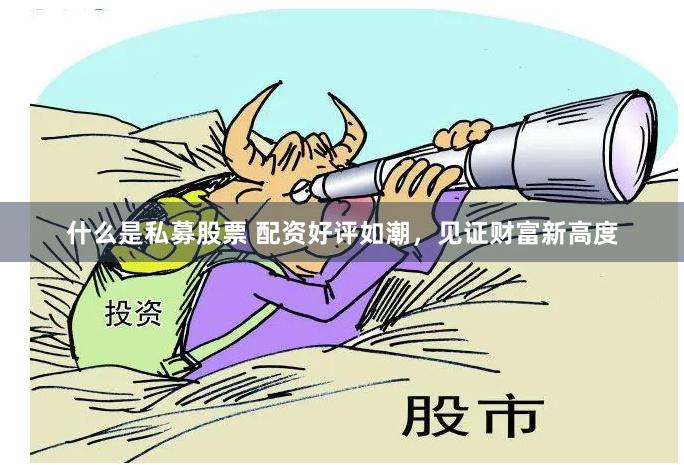 什么是私募股票 配资好评如潮，见证财富新高度